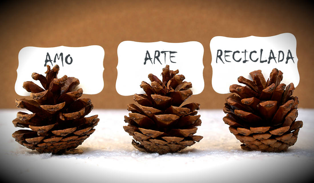 Decoração reciclada