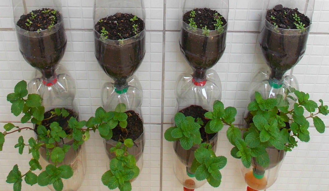 jardim vertical reciclado